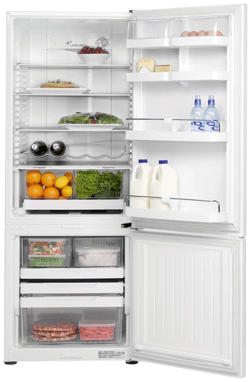 קניג, תמונה פישר אנד פייקל מקרר