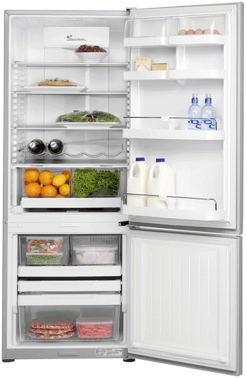 קניג, תמונה פישר אנד פייקל מקרר