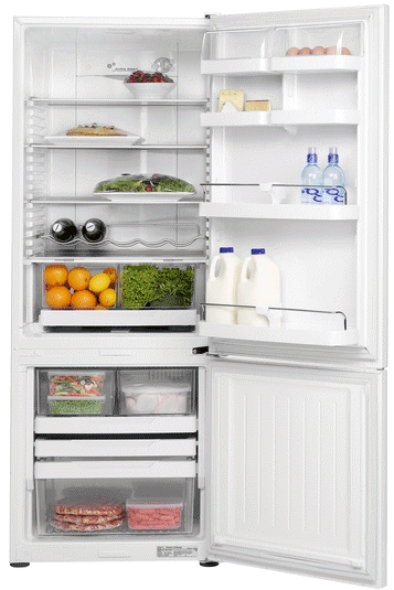 קניג, תמונה פישר אנד פייקל מקרר