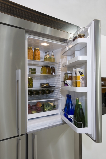 קניג, תמונה פישר אנד פייקל מקרר