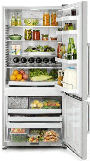 קניג, תמונה פישר אנד פייקל מקרר