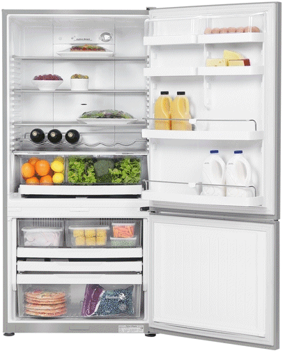 קניג, תמונה פישר אנד פייקל מקרר