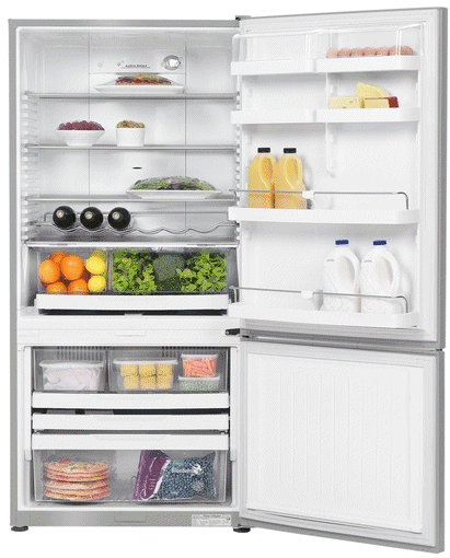 קניג, תמונה פישר אנד פייקל מקרר