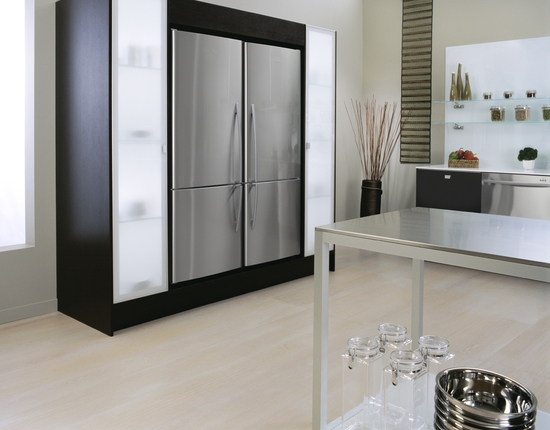 קניג, תמונה פישר אנד פייקל מקרר