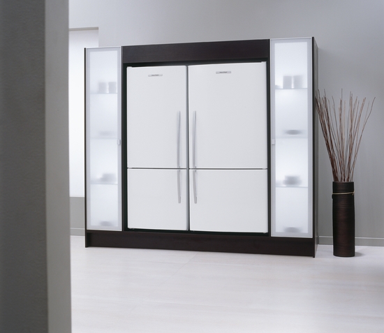 קניג, תמונה פישר אנד פייקל מקרר