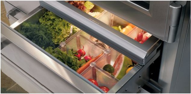 Kenig , Picture  Sub Zero Refrigerator 48 PRO