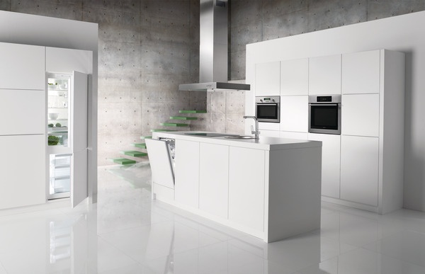 קניג, תמונה Gorenje מקרר